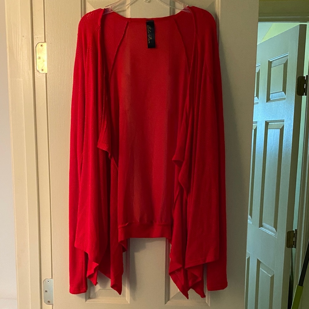 Blue Rain Red Sweater